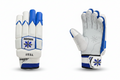 Cricket Batting Gloves Test